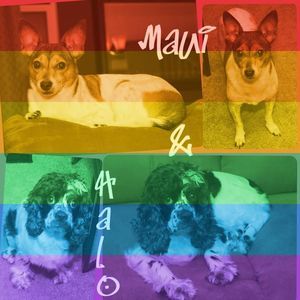 Meet your Posher, Markham